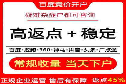 探索百度竞价广告的未来趋势：基于多案例的分析